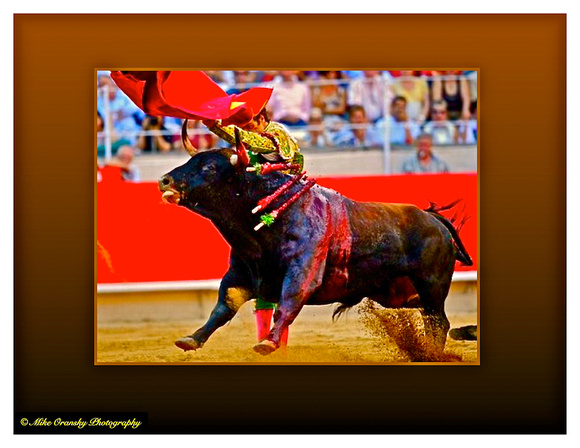 Matador and the Bull ........ OLE'