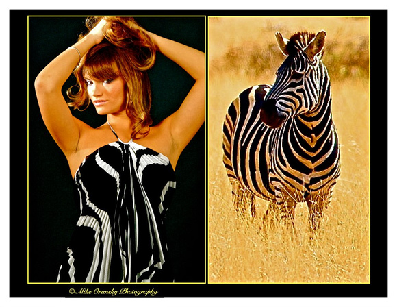 Zebra Fashion /mike oransky photography